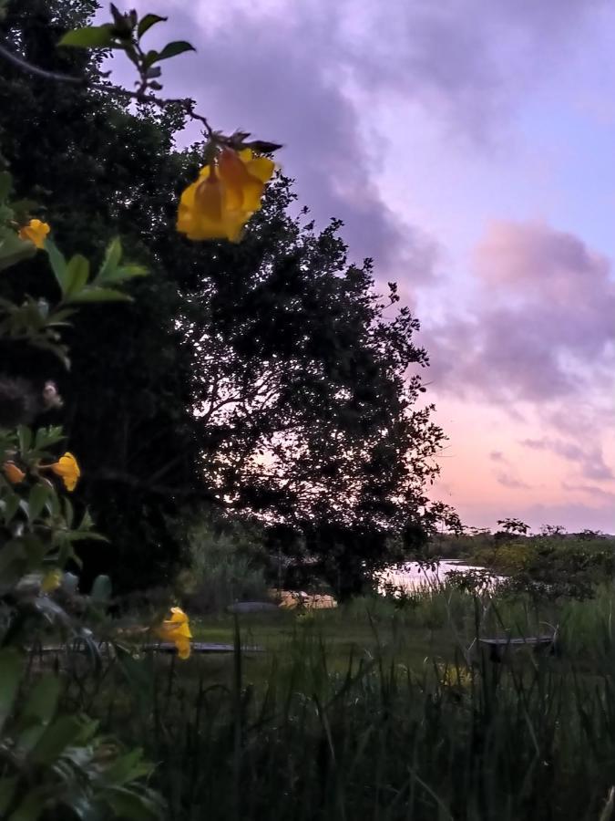 Pousada Mangue Seco Itaunas  Eksteriør billede